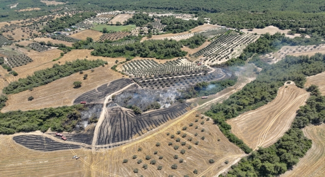 Adana’da ormana sıçrayan anız yangını kontrol altına alındı