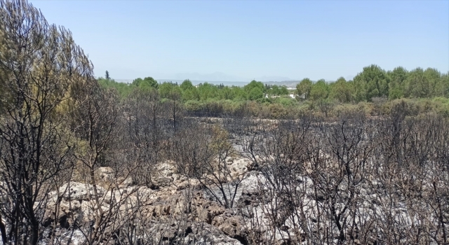 Antalya’da çıkan orman yangını söndürüldü