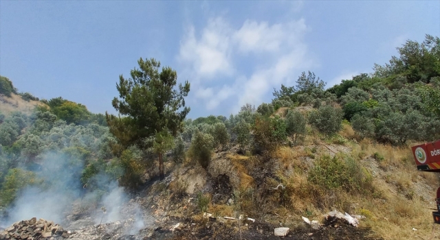 Hatay’da otluk ve ağaçlık alanda çıkan yangın söndürüldü