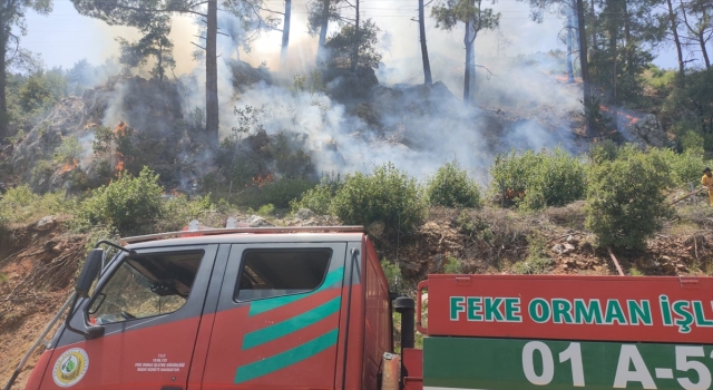 Adana’da çıkan orman yangınına müdahale ediliyor