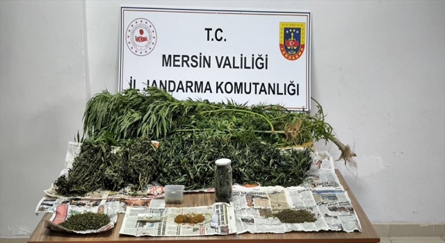 Mersin’de bahçe ve ormanda kenevir yetiştiren 2 şüpheli yakalandı