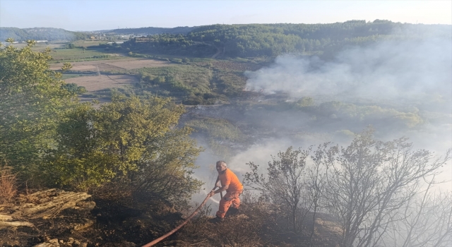 Antalya’da ormanlık alanda çıkan yangına müdahale ediliyor