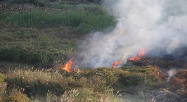 Antalya’da ormanlık alanda çıkan yangın kontrol altına alındı