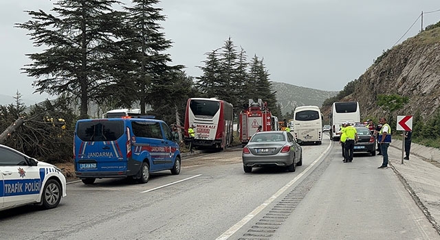 Isparta’da refüjdeki ağaca çarpan yolcu otobüsündeki 11 kişi yaraladı