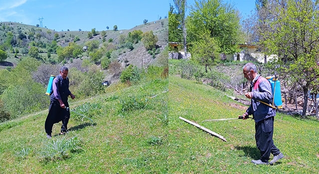 Kozan’da istilacı çekirgelere karşı ilaçlama yapıldı