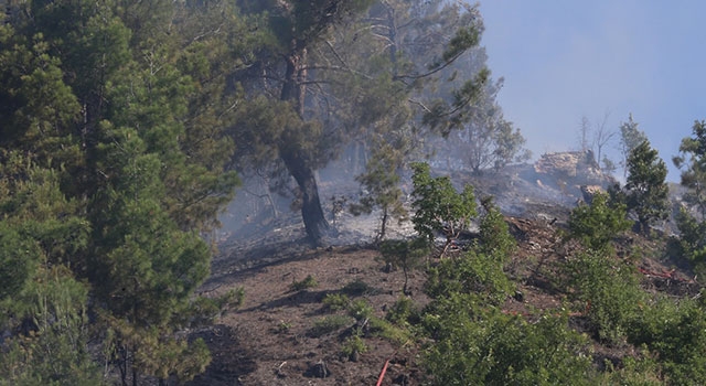 Kahramanmaraş’ın Onikişubat ilçesinde çıkan orman yangını kontrol altına alındı