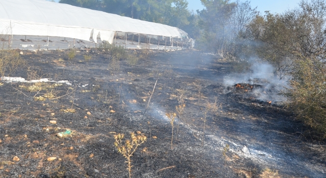 Antalya’da otluk alanda başlayan yangın ormana ve seralara sıçradı