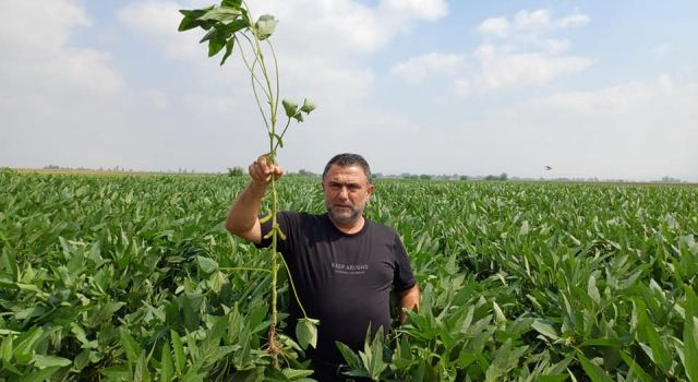 Osmaniye'de Tarımda Kalite Güvence Altında