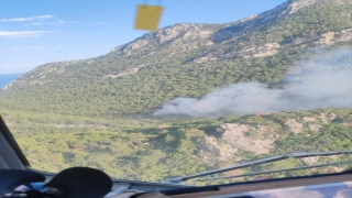 Antalya’da çıkan orman yangını kontrol altına alınmaya çalışılıyor