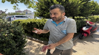 Antalya’da acemi kasaplar hastanelik oldu