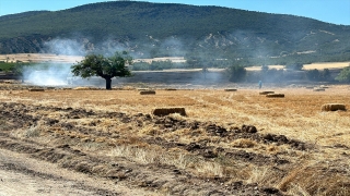 Isparta’da tarım arazisinde çıkan yangın söndürüldü