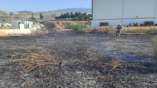 Arsuz’da otluk alanda çıkan yangın söndürüldü