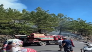 Alanya’da çıkan orman yangını kontrol altına alındı