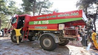 Hatay’da çıkan orman yangını büyümeden söndürüldü