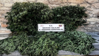 Mersin’de 1 kilogram esrar ve 188 kök Hint keneviri ele geçirildi