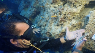 Akdeniz’deki su altı kazısında 3 bin 600 yıllık tunç hançer bulundu