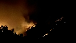 Hatay’da ormanlık alandaki yangına müdahale ediliyor