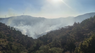 Hatay’da ormanlık alandaki yangına müdahale ediliyor