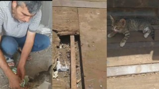 İlçe halkı yavru kediyi kurtaran hayvan sever esnafı konuşuyor