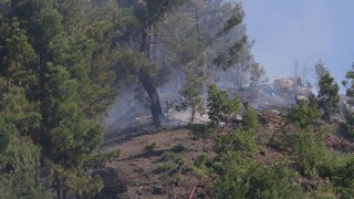 Kahramanmaraş’ın Onikişubat ilçesinde çıkan orman yangını kontrol altına alındı