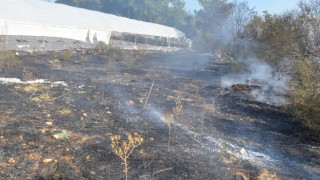 Antalya’da otluk alanda başlayan yangın ormana ve seralara sıçradı