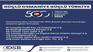 Osmaniye’den Büyük Başarı! 7 Firma Türkiye'nin En İyileri Arasında