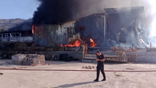 Adana’da narenciye paketleme tesisinde çıkan yangına müdahale ediliyor