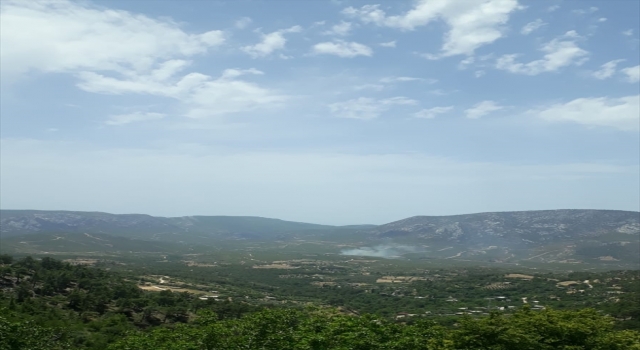 Mersin’de çıkan orman yangını kontrol altına alındı