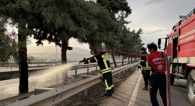 Mersin’de refüjdeki ağaçlarda çıkan yangın söndürüldü