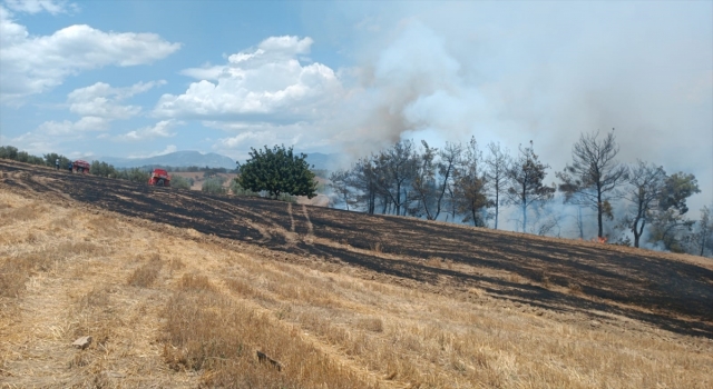Adana’da çıkan orman yangınına müdahale ediliyor