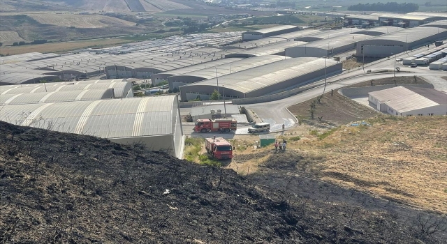 Hatay’da anız ve makilik alanda çıkan yangınlar söndürüldü