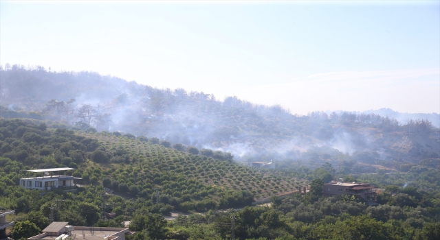 Hatay’da çıkan orman yangını kontrol altına alındı