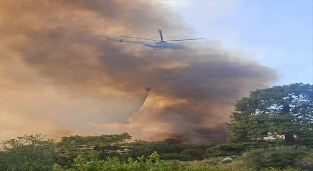 Antalya’da ormanlık alanda yangın çıktı