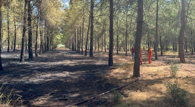 Antalya’da ormanlık alanda çıkan yangın söndürüldü