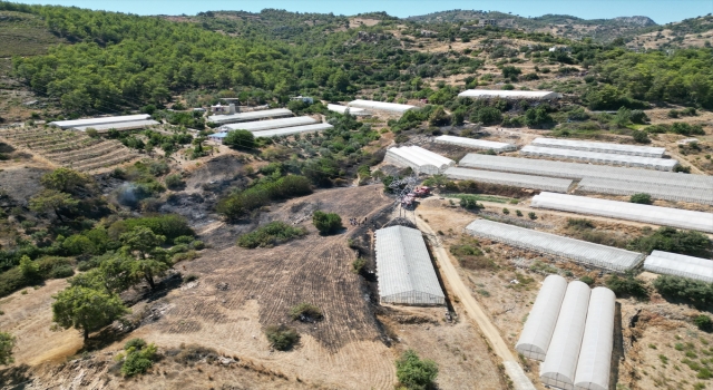 Antalya’da çıkan orman yangını söndürüldü