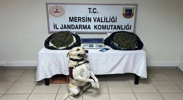 Mersin’de 14 kilo 350 gram esrar ele geçirildi