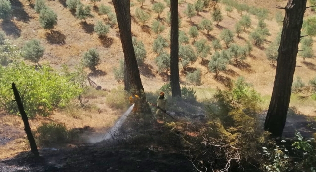 Kahramanmaraş’ta çıkan orman yangınına ekiplerce müdahale ediliyor