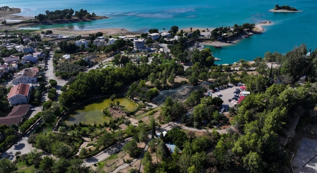 Göç yolundaki Adana yeniden ”Kuş Cenneti”ne kavuşmak istiyor