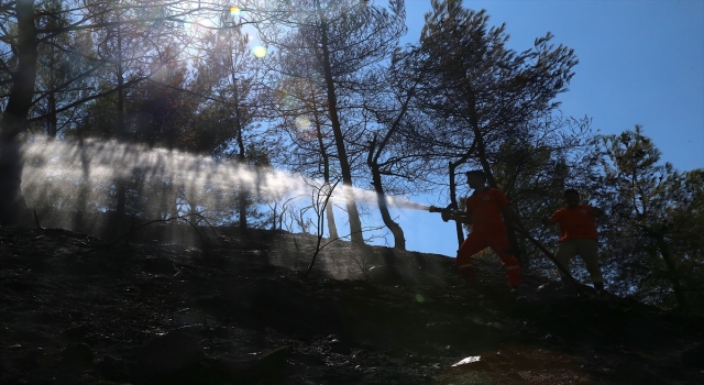 Hatay’da çıkan orman yangını kontrol altına alındı