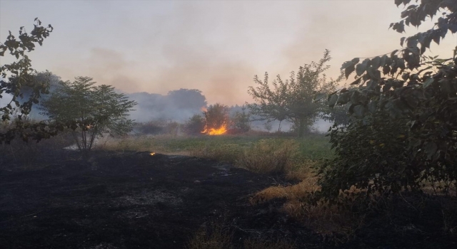 Hatay’da otluk alanda çıkan yangın söndürüldü