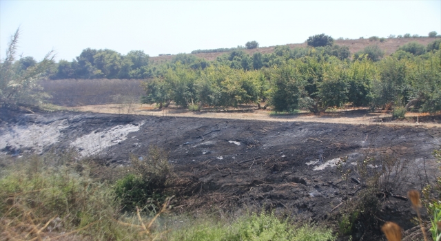 Antalya’da sazlık alanda çıkıp tarım arazisine sıçrayan yangın söndürüldü