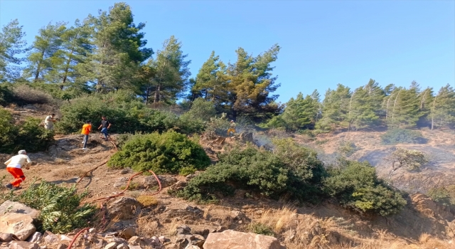 Hatay’da çıkan orman yangınına müdahale ediliyor