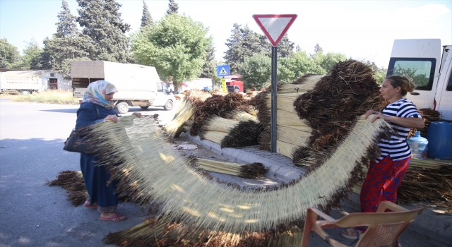 Kahramanmaraş’ta mevsimlik işçiler ”çiğ” mesaisinde