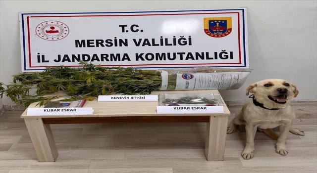 Mersin’de düzenlenen uyuşturucu operasyonunda 7 zanlı yakalandı