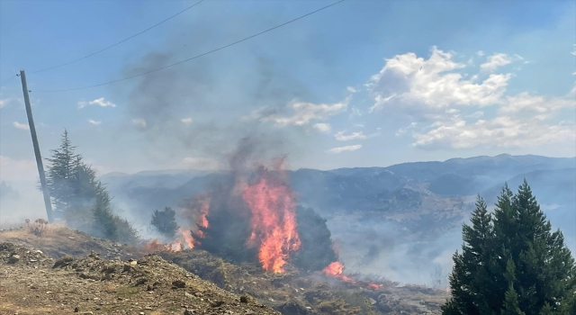 Alanya’da makilik alanda çıkan yangın kontrol altına alındı