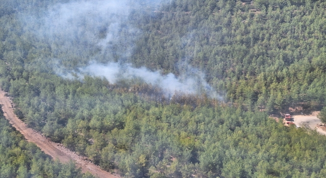 Mersin’de ormanlık alanda yangın çıktı