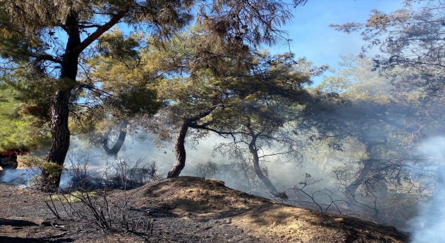 Antalya’da çıkan orman yangını söndürüldü