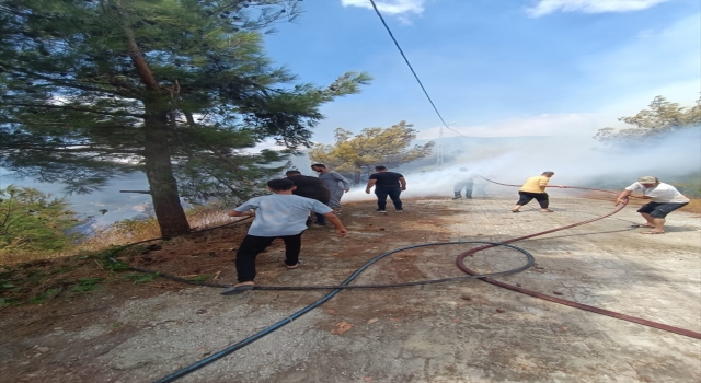 Hatay’da çıkan orman yangını söndürüldü