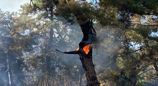 Antalya’nın Kaş ilçesinde çıkan orman yangınına müdahale ediliyor