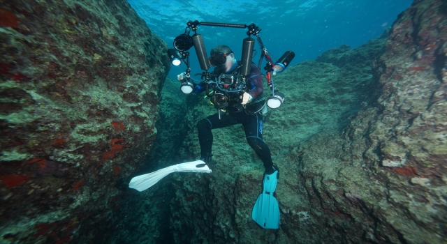 Su altı fotoğrafçıları Akdeniz’in derinliklerindeki güzellikleri görüntülemek için dalıyor